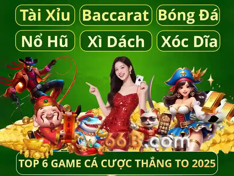 66b là gì và vì sao nó gây chú ý