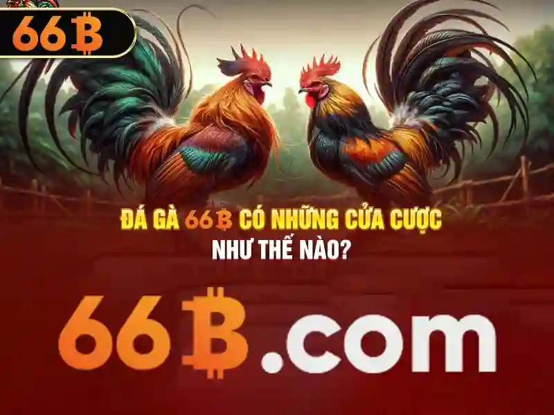66b app – Đột phá trải nghiệm và cộng đồng