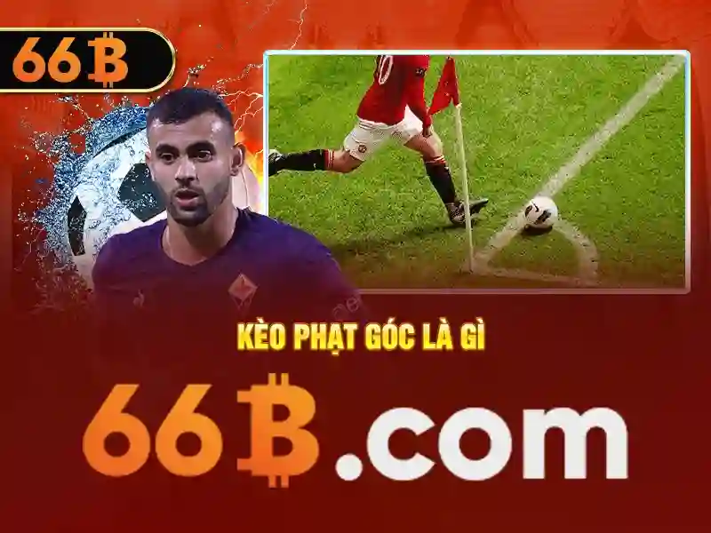 Cấu trúc và đặc điểm cơ bản của 66B