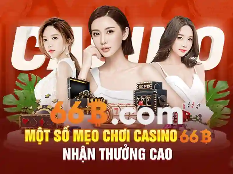 66b hoạt động bao lâu: tổng quan trải nghiệm và đánh giá