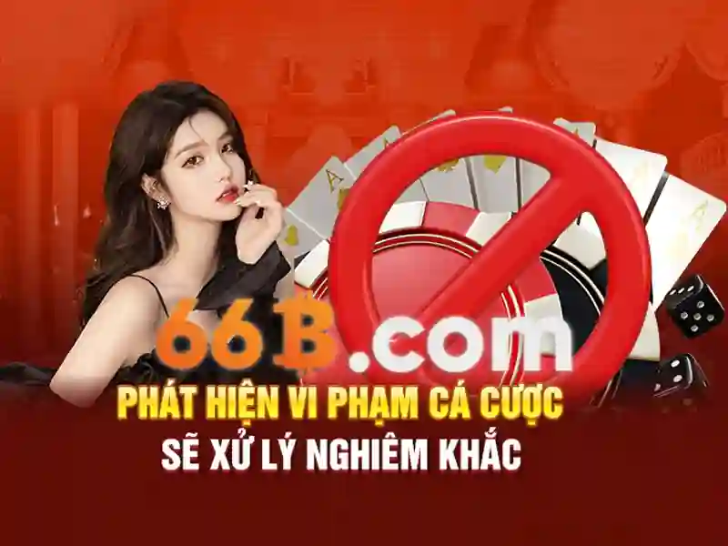 Khái niệm về 66B và tầm quan trọng của nó