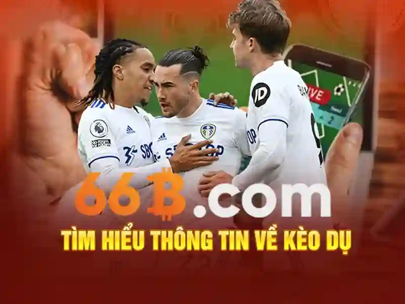 66b nguyễn sĩ sách phường 15 quận tân bình – Tóm tắt và lời mời trải nghiệm