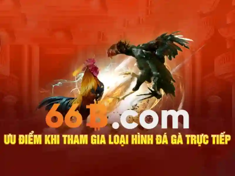 Tính chất và quy mô tham số
