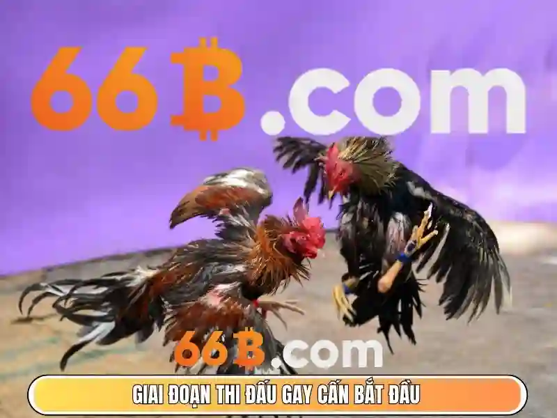 Khung cảnh khởi đầu opt-66b