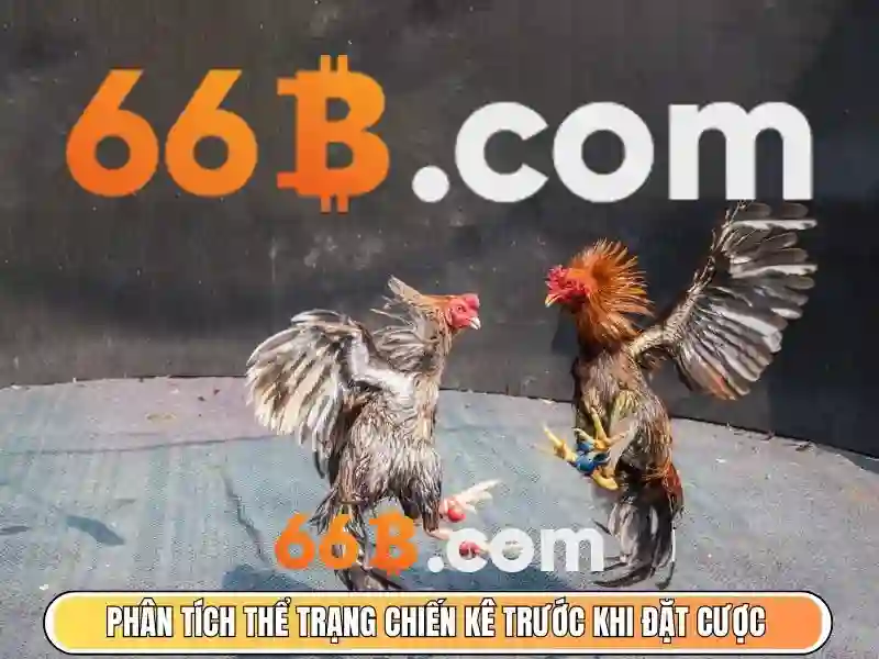 66B trong văn bản và nghệ thuật