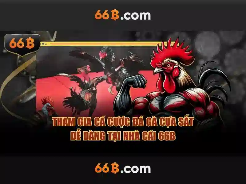 66b là gì?