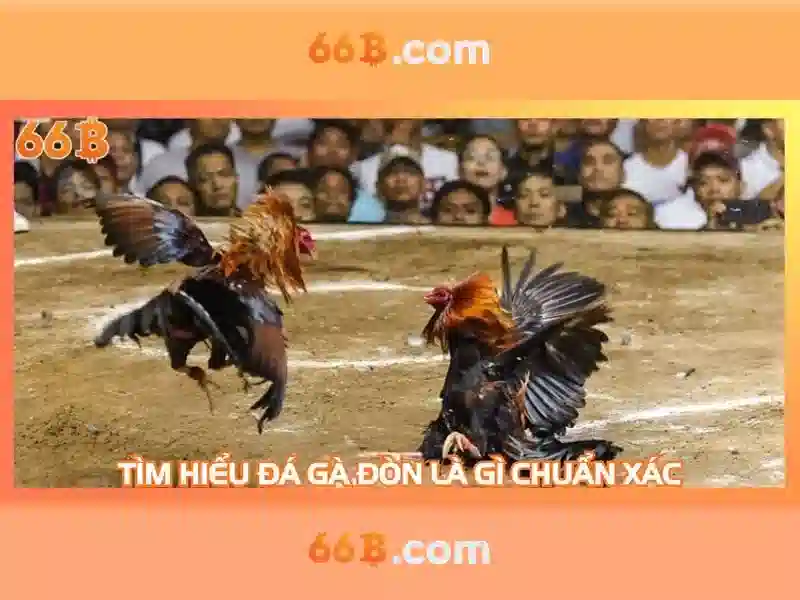 66b nguyễn sý sách – Trải nghiệm và khuyến mãi hấp dẫn
