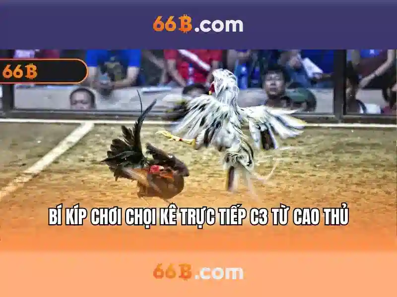 66b: Khai thác sức mạnh của mô hình ngôn ngữ 66 tỷ tham số