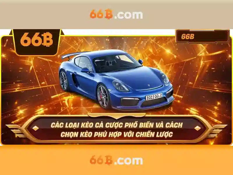 trường con 66b nguyễn sỹ sách – hành trình khám phá và giá trị thực tiễn