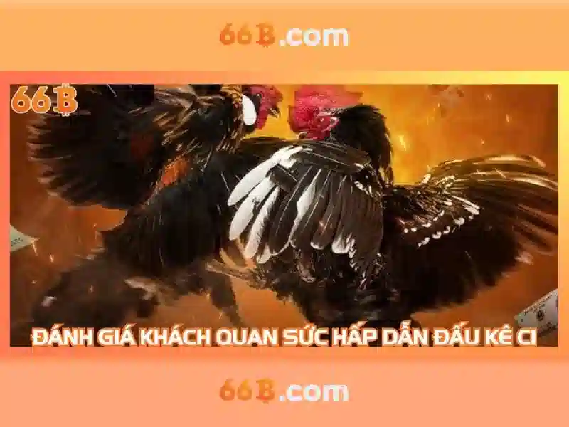 66B: mô hình ngôn ngữ lớn cho thế hệ AI tiếp theo