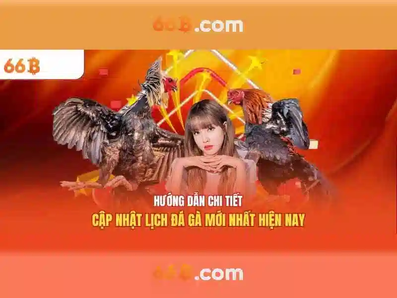 66B: Khái niệm, kích thước và ứng dụng