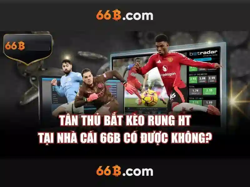 đăng ký 66b – Trải nghiệm người dùng và phản hồi