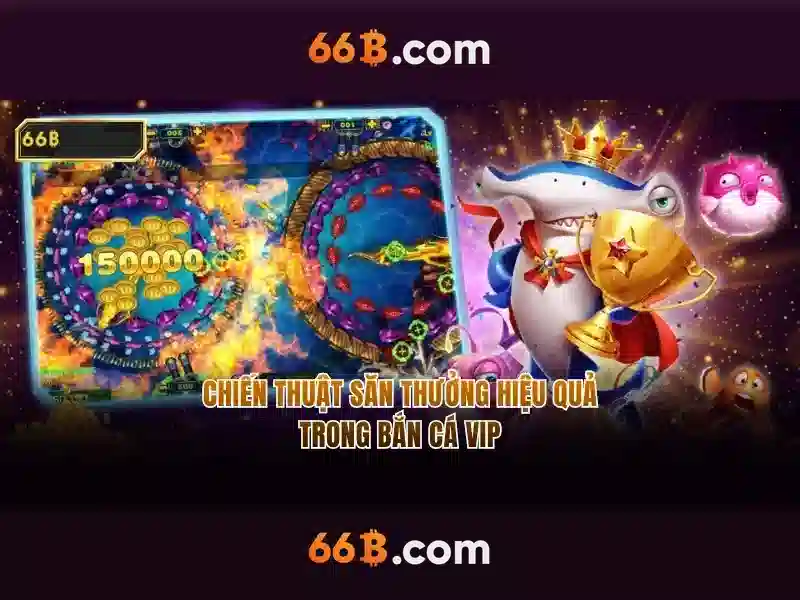 ecm 66b: Tinh hoa công nghệ và cộng đồng 66b