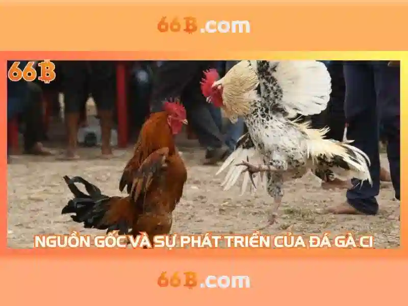 66b: Khám phá mô hình ngôn ngữ kích thước lớn