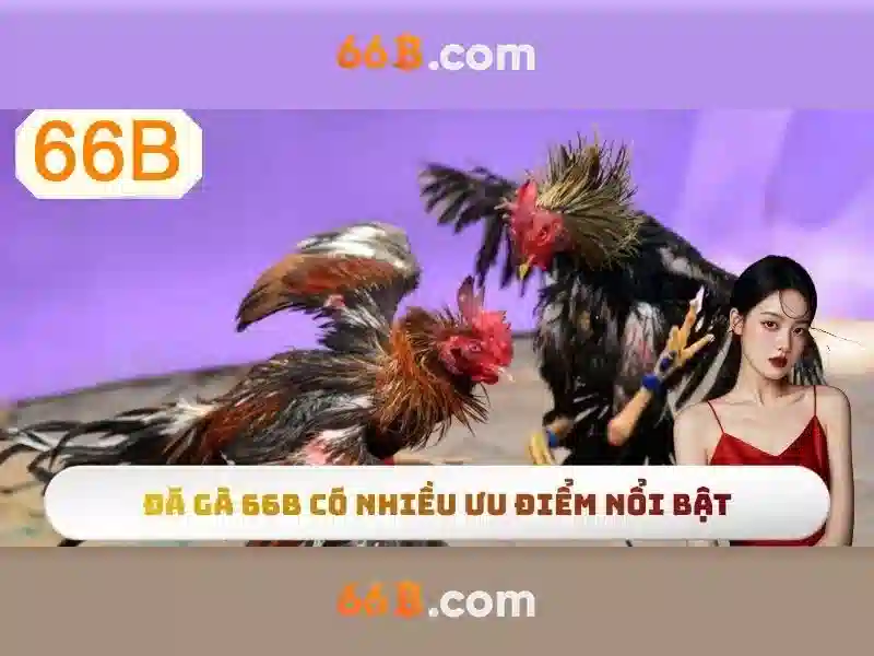 66B: Khái niệm, công nghệ và ứng dụng