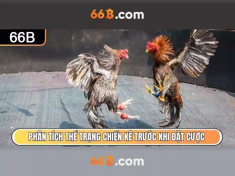 Kết luận và triển vọng