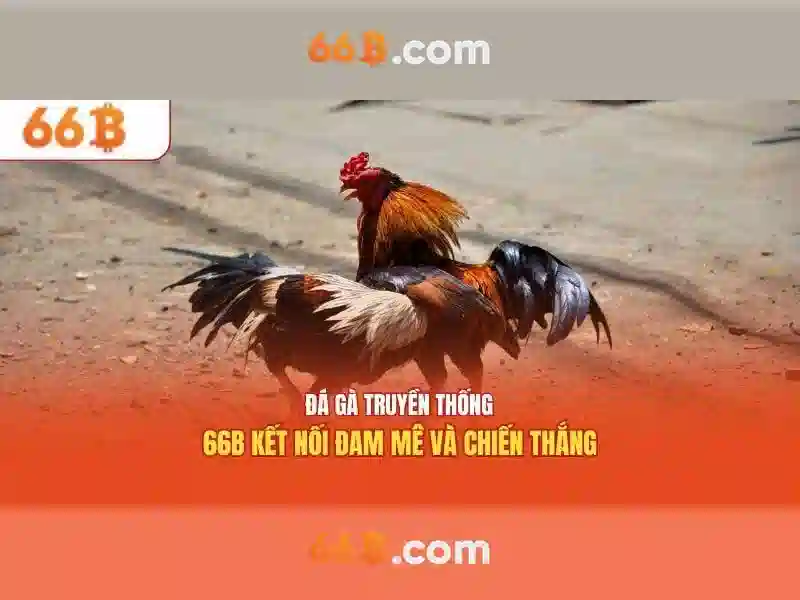 66B: Khái niệm, tham số và ứng dụng