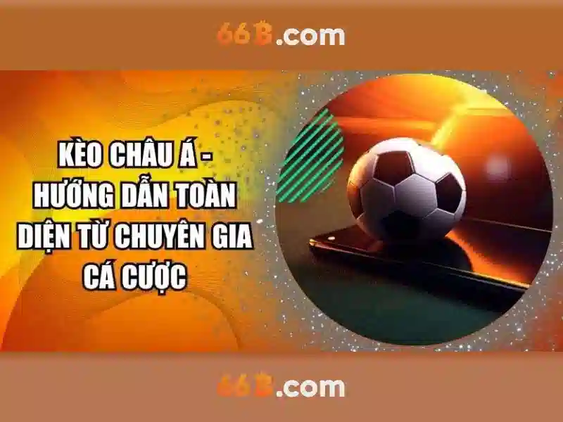 Cung cấp và suy luận