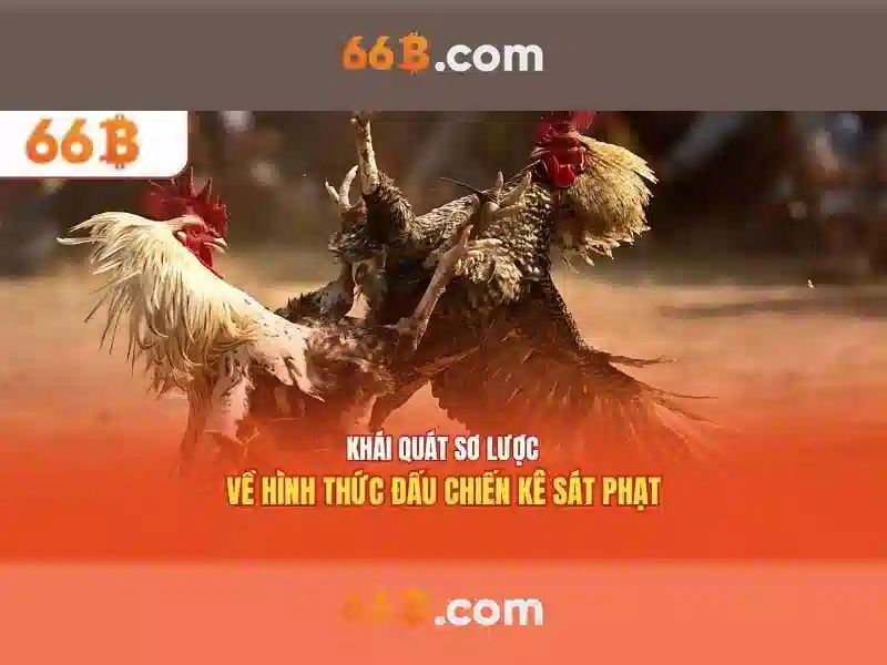 Chủ đề ut-66b-07