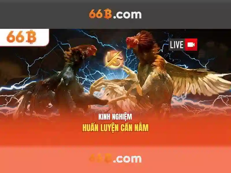 Ứng dụng của 66B