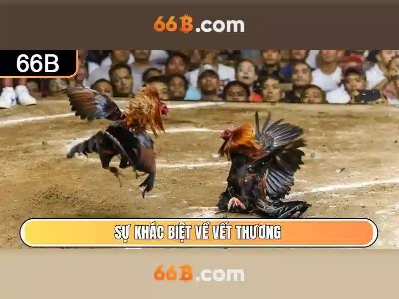 66b: Khái niệm, nguồn gốc và ứng dụng