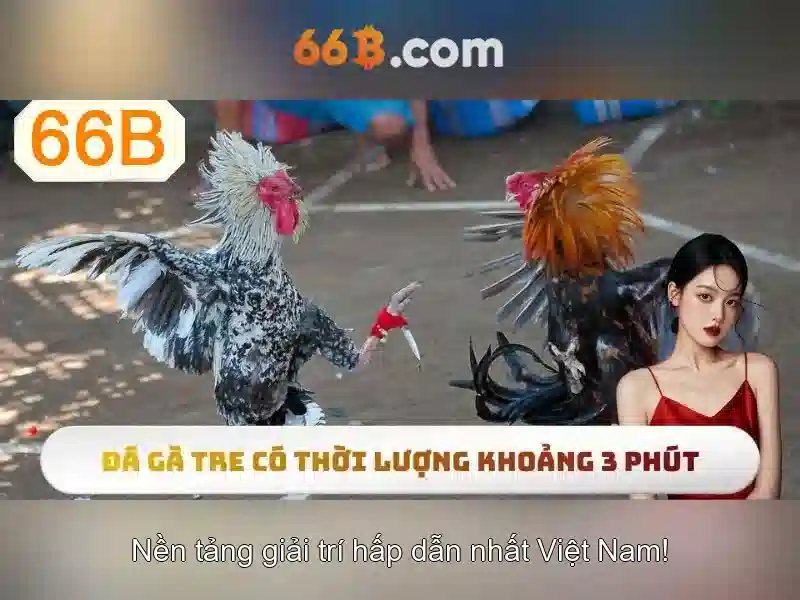 Đặc điểm nổi bật của 66b