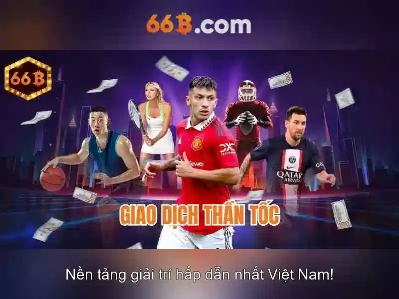 Định nghĩa và quy mô của 66B