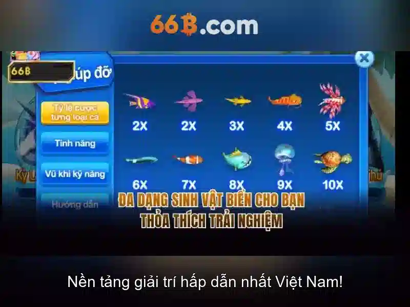 66B: Khái niệm và tiềm năng