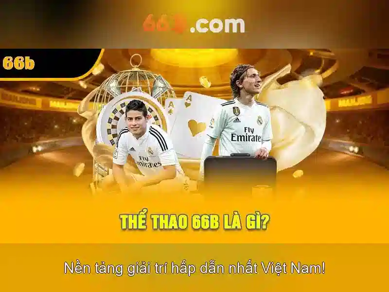66B là gì và vì sao nó quan trọng