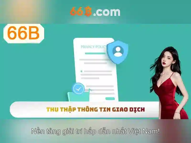 Tổng quan về 66B