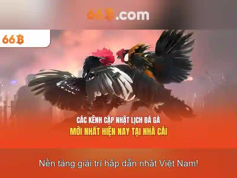 Cơ chế hoạt động