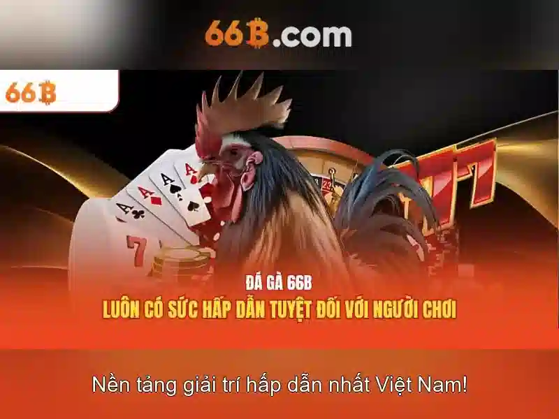 Khái niệm về 66B