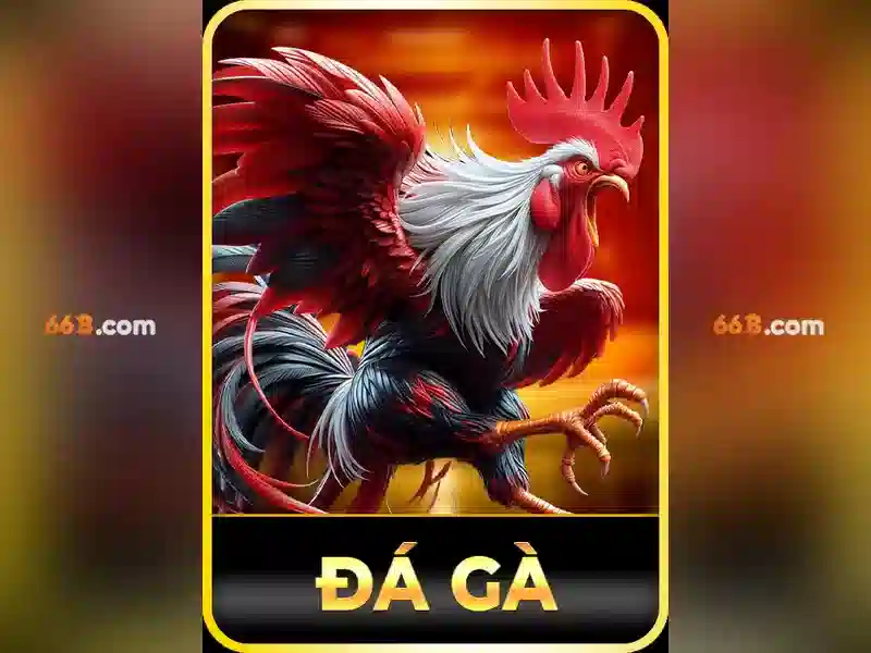 Ứng dụng của 66b trong thực tế và tương lai