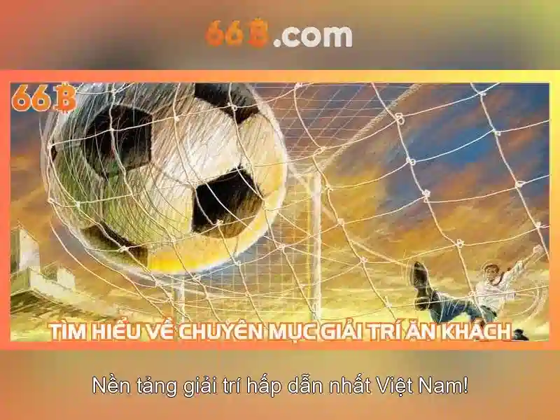 66b là gì và tại sao lại quan trọng