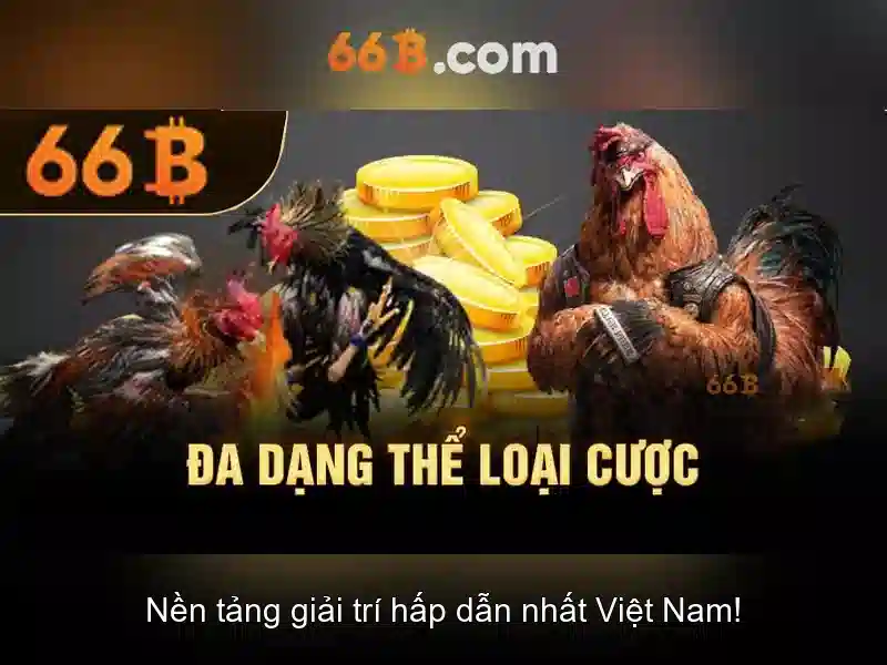 Lịch sử và nguồn gốc của 66B