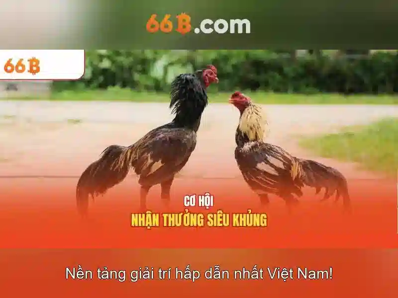 66b và hành trình của một con số