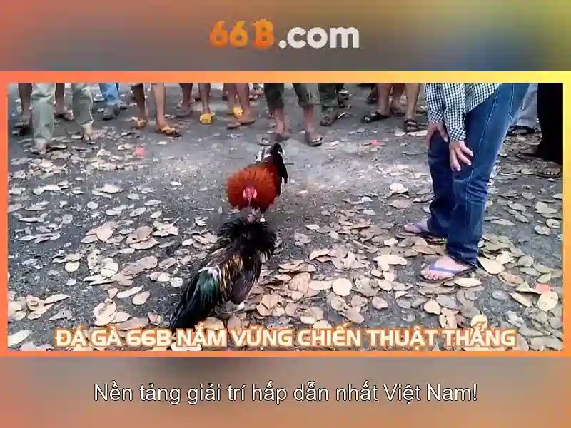 Tương lai của 66b và mô hình kích thước tương tự\n<p><span style=