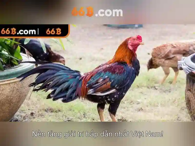 Tương lai của 66b và AI