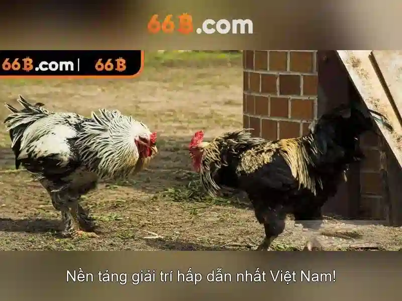 66B: Một cái nhìn tổng quan về mô hình ngôn ngữ 66 tỷ tham số
