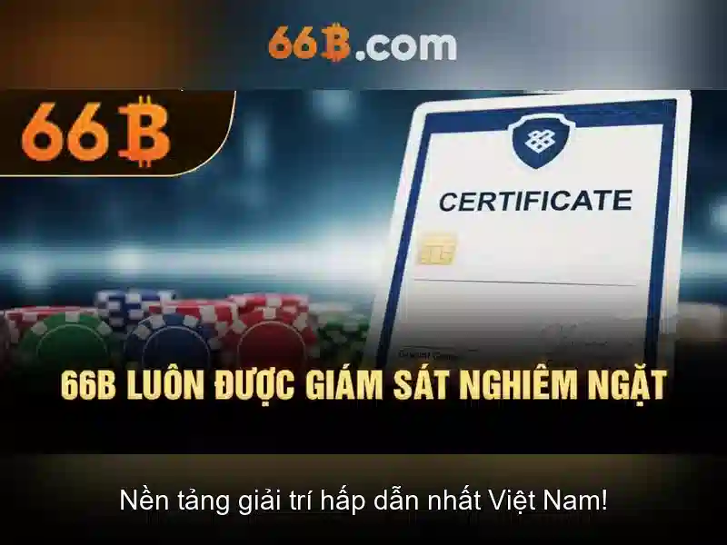Kiến trúc và kích thước của 66B