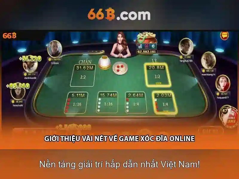 Chi tiết thực tiễn và hướng triển khai 66b trong doanh nghiệp
