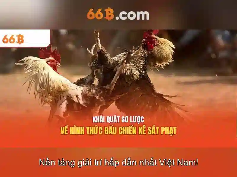 Nguồn gốc và ý nghĩa
