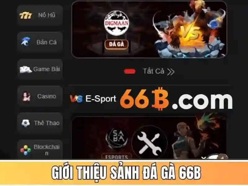 66B: Khám phá ý nghĩa và ứng dụng