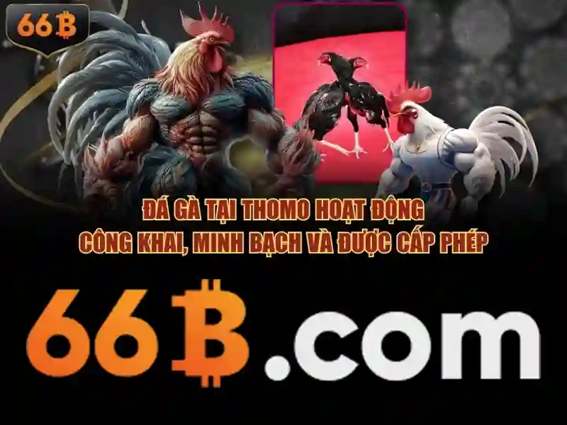 Thách thức và tương lai của 66b
