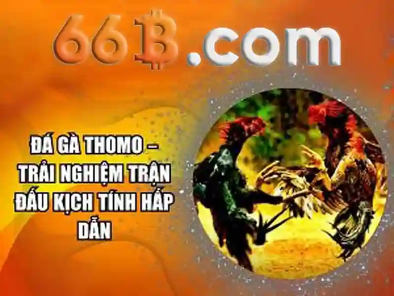 66b: Khai phá tiềm năng của một mô hình ngôn ngữ lớn