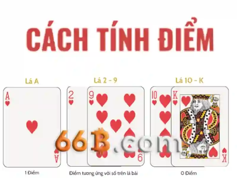 cd 66b pe – Định hình thương hiệu và trải nghiệm opt 66b