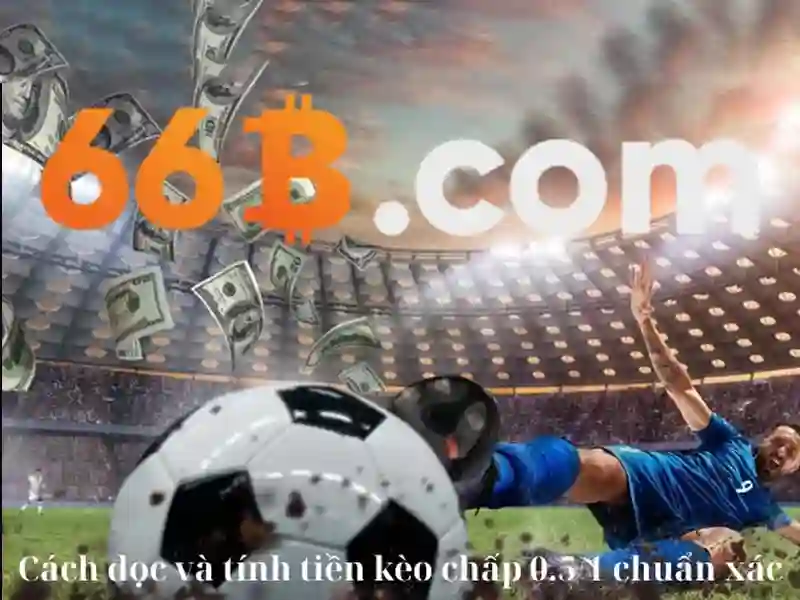 66b: khái niệm và hành trình khám phá