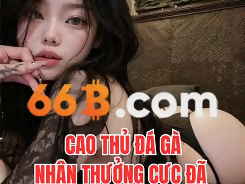 đăng xuất 66b – Trải nghiệm và giá trị thương hiệu