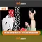 66B: Mô hình ngôn ngữ 66 tỷ tham số và ứng dụng