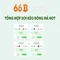 66B: Mô hình ngôn ngữ lớn 66B và hành trình của nó
